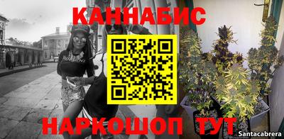 индика Нальчик