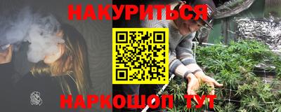 индика Нальчик