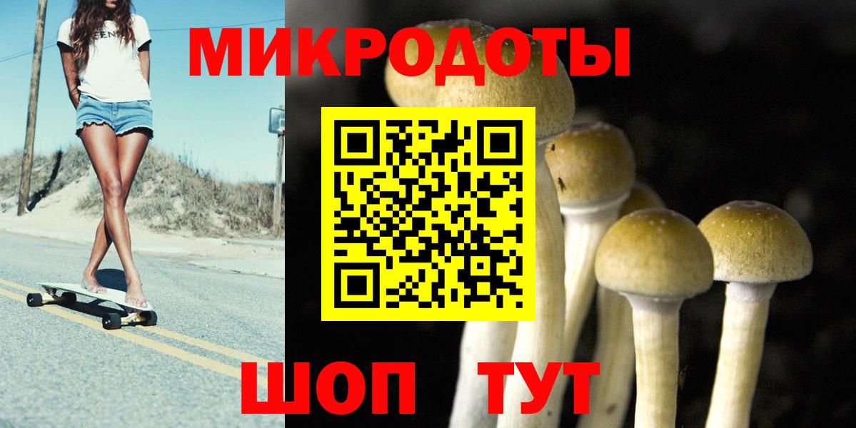 где купить наркотик  Вход с VPN  Галлюциногенные грибы MAGIC MUSHROOMS  Хабаровск  Псилоцибиновые грибы Cubensis 